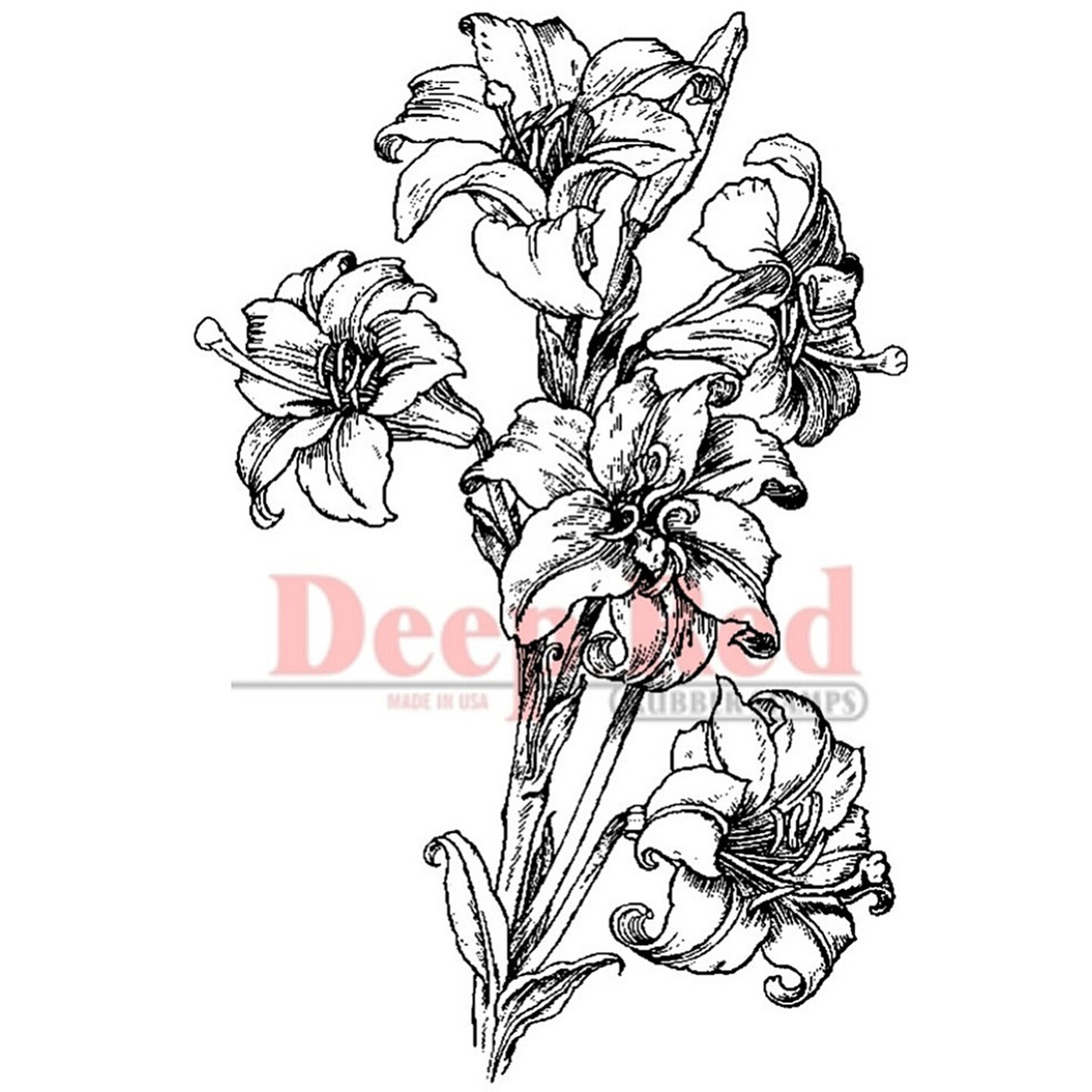 Deep Red Stamps Lilies Pen and Ink Rubber Cling Stamp 2 x 3 inches