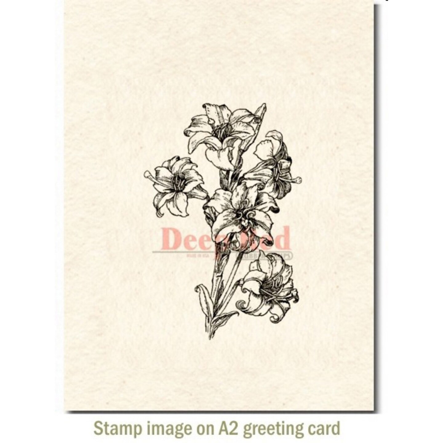 Deep Red Stamps Lilies Pen and Ink Rubber Cling Stamp 2 x 3 inches