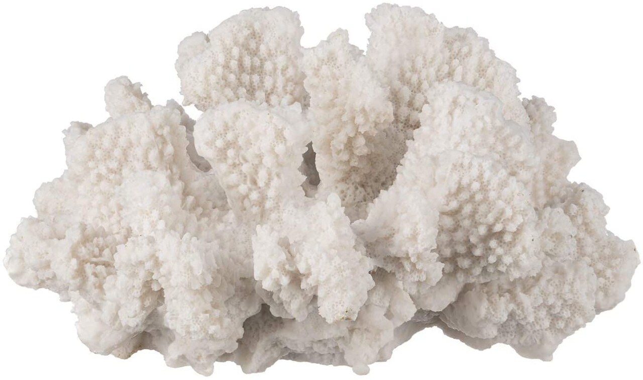 White Coral Décor 7 x 7 x 4 Resin Faux Coral Sculpture