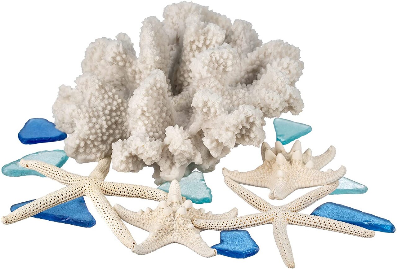 White Coral D&#xE9;cor 7&#x22; x 7&#x22; x 4&#x22; Resin Faux Coral Sculpture
