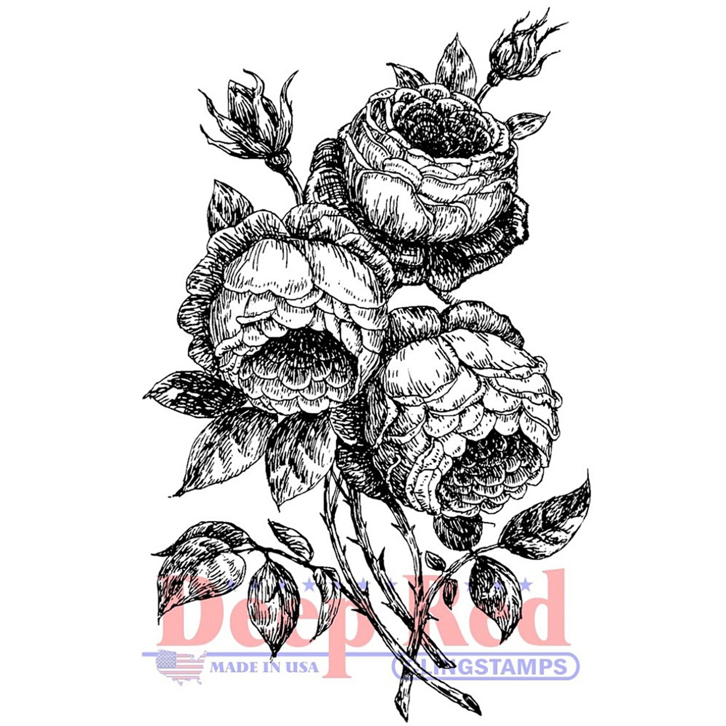 Deep Red Stamps English Roses Rubber Cling Stamp 2 x 3.2 inches