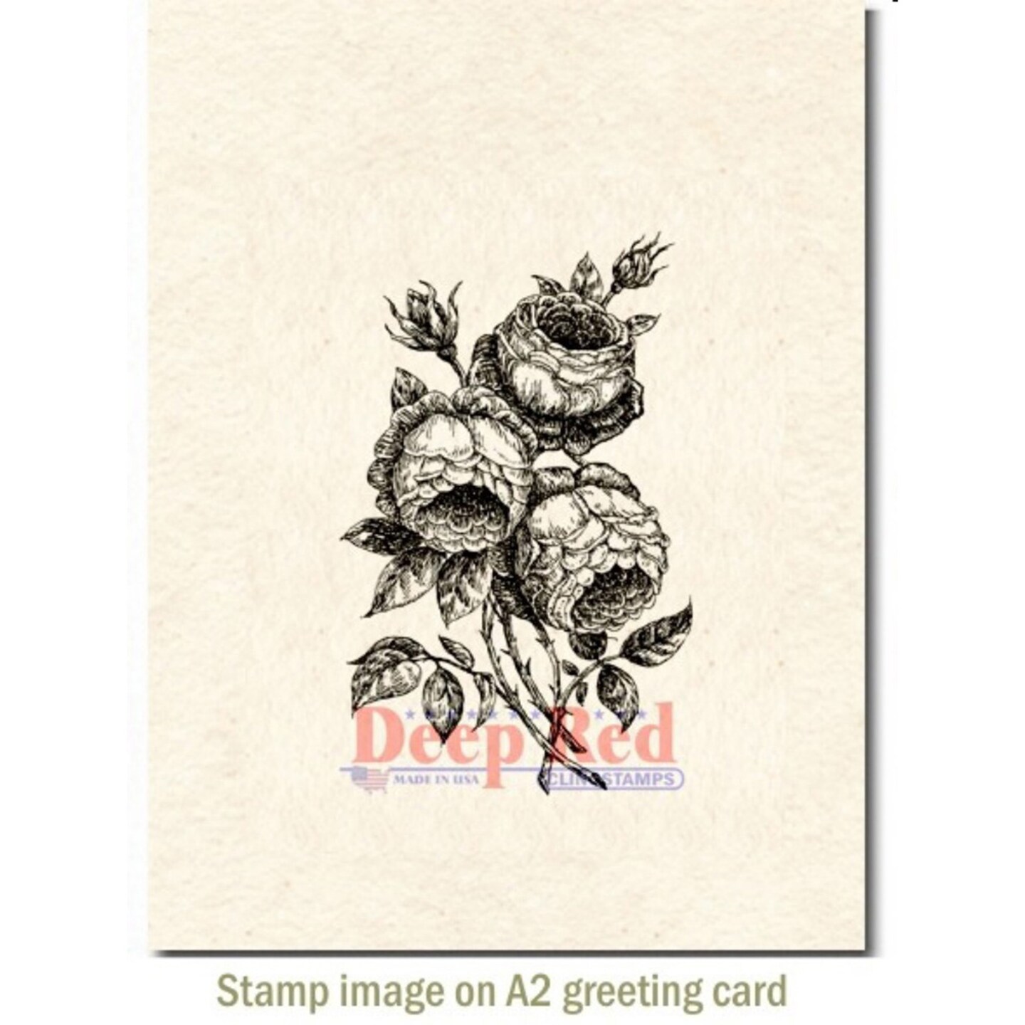 Deep Red Stamps English Roses Rubber Cling Stamp 2 x 3.2 inches