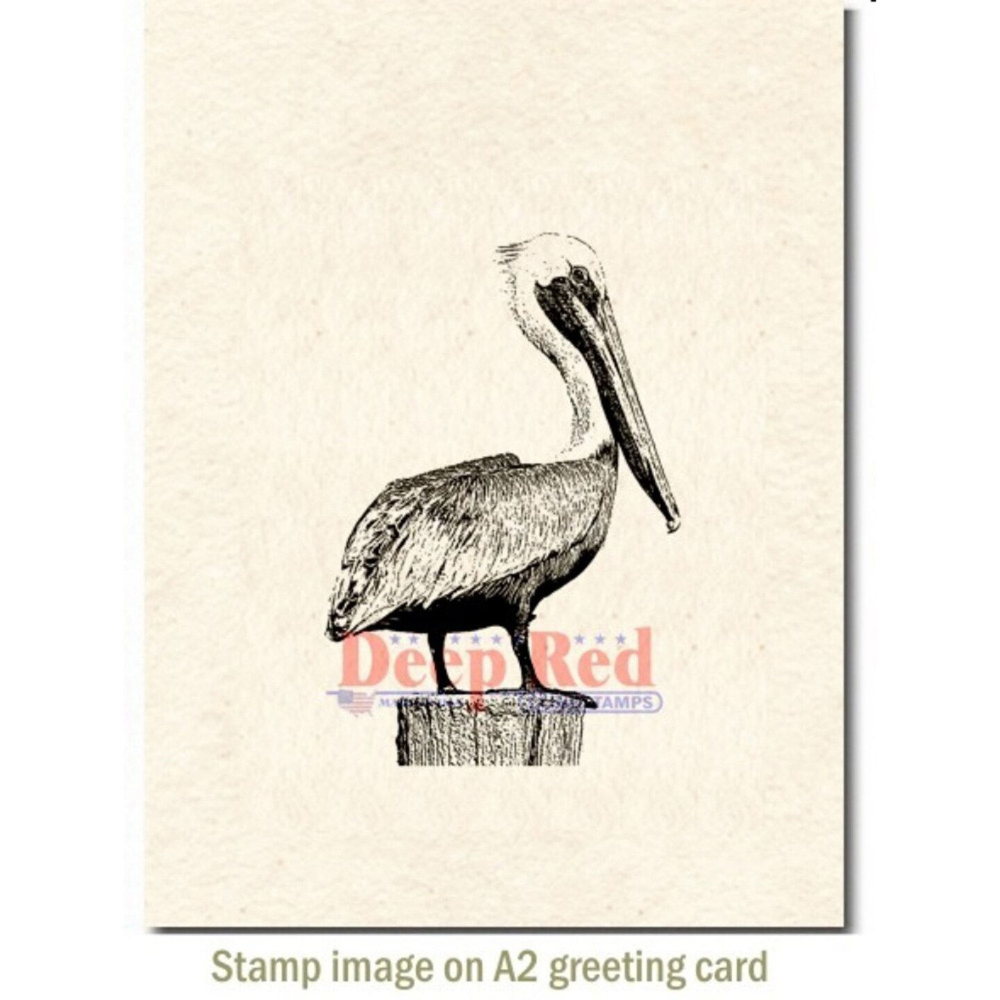 Deep Red Stamps Pelican Rubber Cling Stamp 2.1 x 3.1 inches