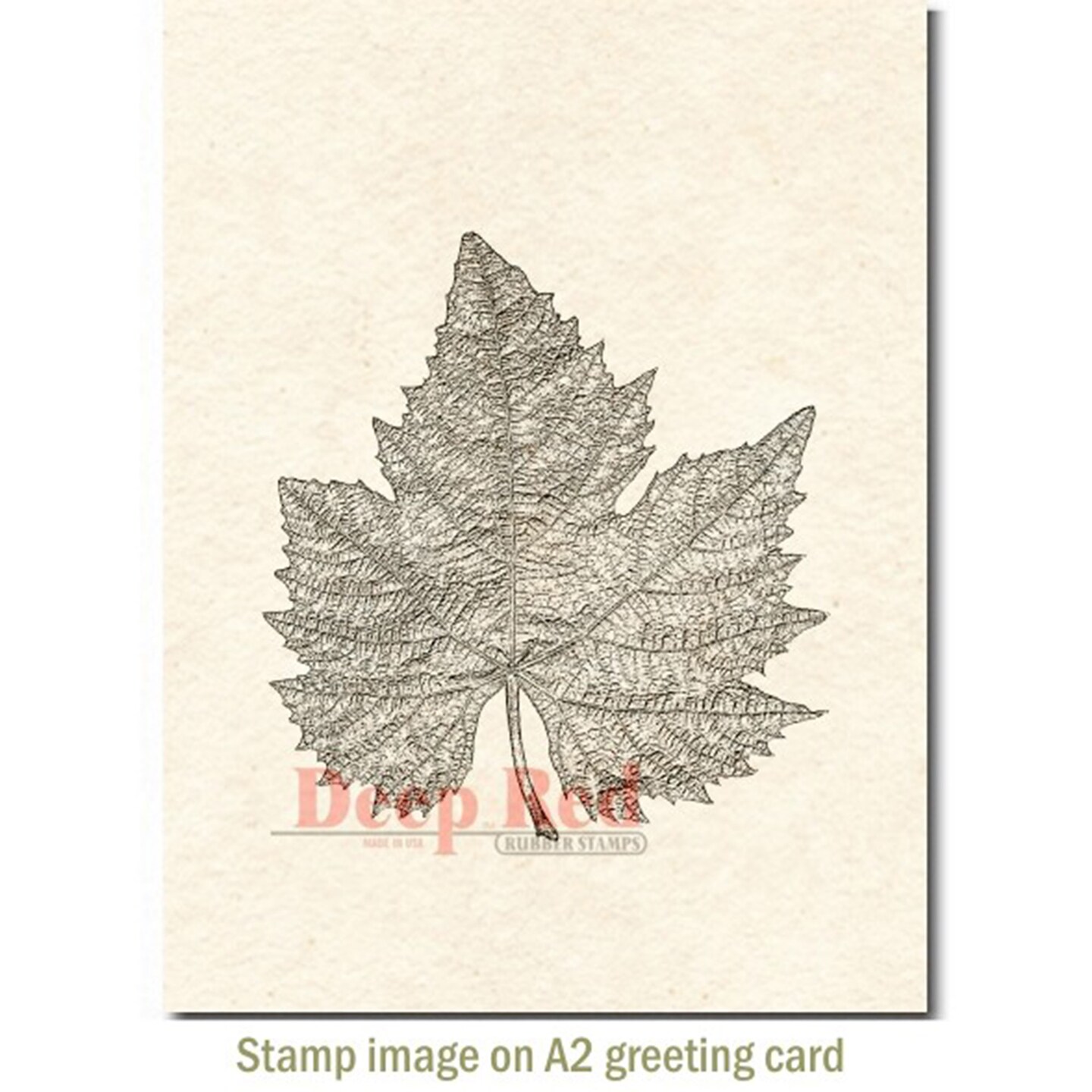 Deep Red Stamps Autumn Leaf Rubber Cling Stamp 3.25 x 3.25 inches