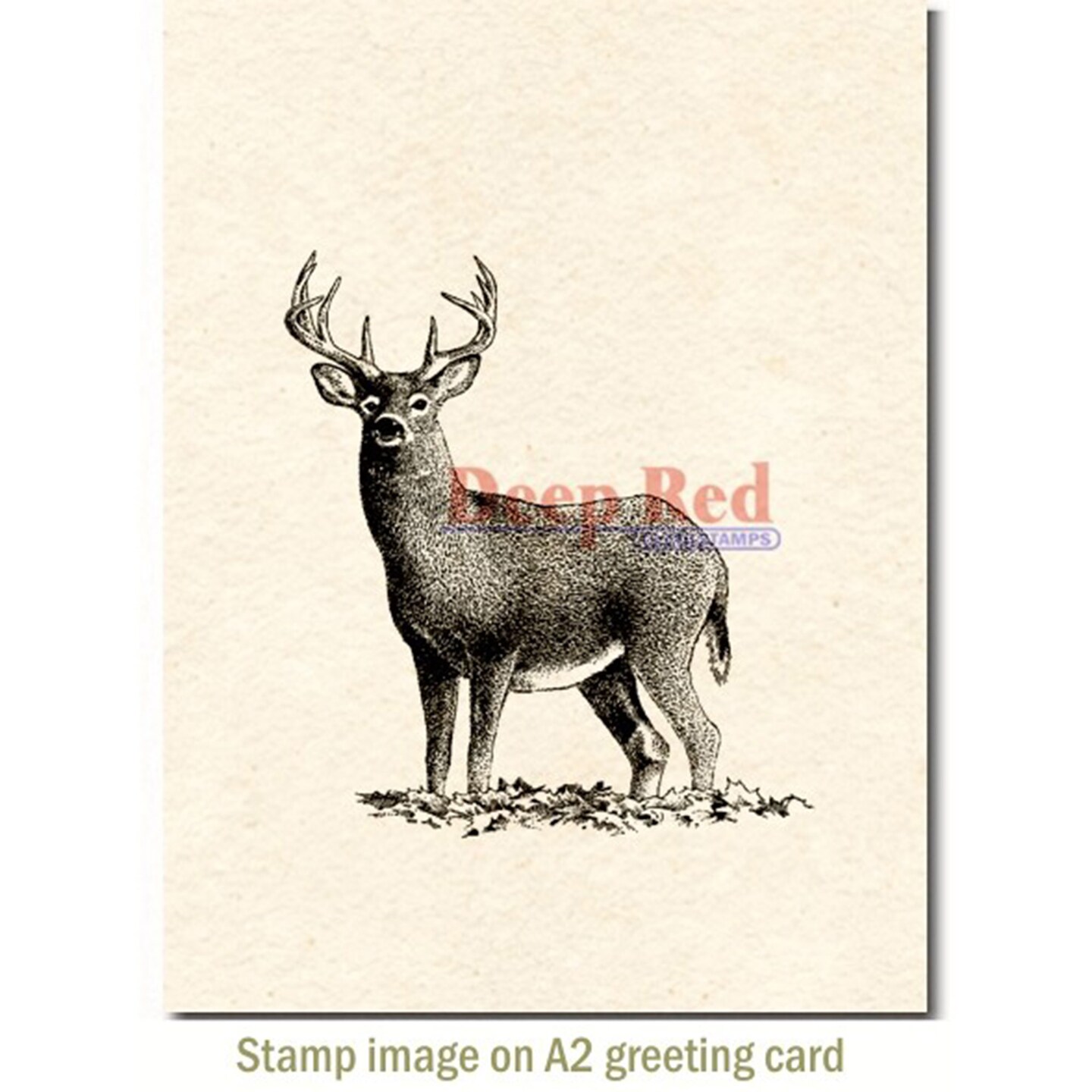 Deep Red Stamps Buck Deer Rubber Cling Stamp 2.7 x 3.2 inches