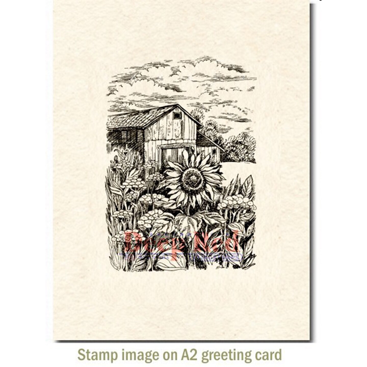 Deep Red Stamps Harvest Sunflower Rubber Cling Stamp 2.4 x 3.4 inches