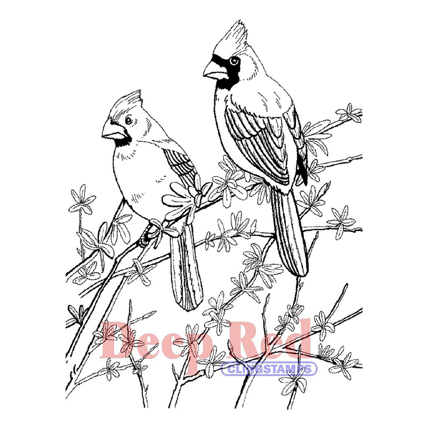 Deep Red Stamps Cardinals Rubber Cling Stamp 3.25 x 4.25 inches