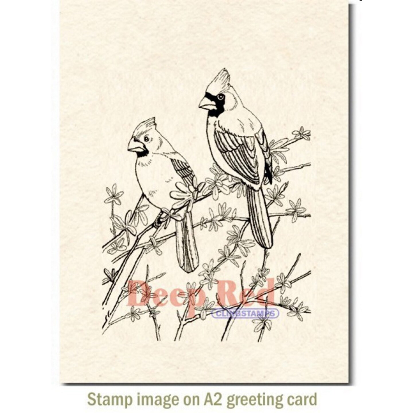 Deep Red Stamps Cardinals Rubber Cling Stamp 3.25 x 4.25 inches