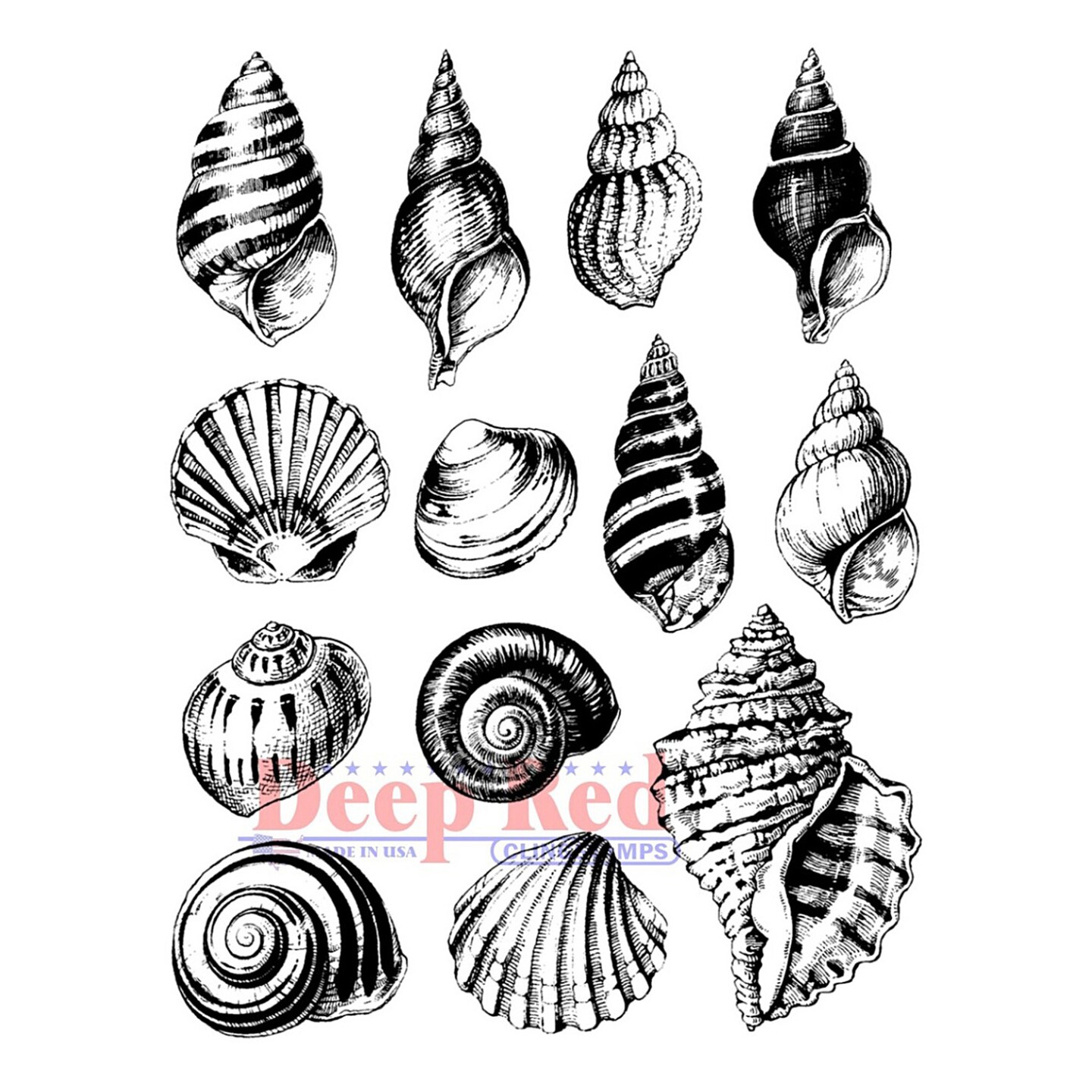 Deep Red Stamps Seashell Collection Rubber Cling Stamp 3.2 x 4.1 inches