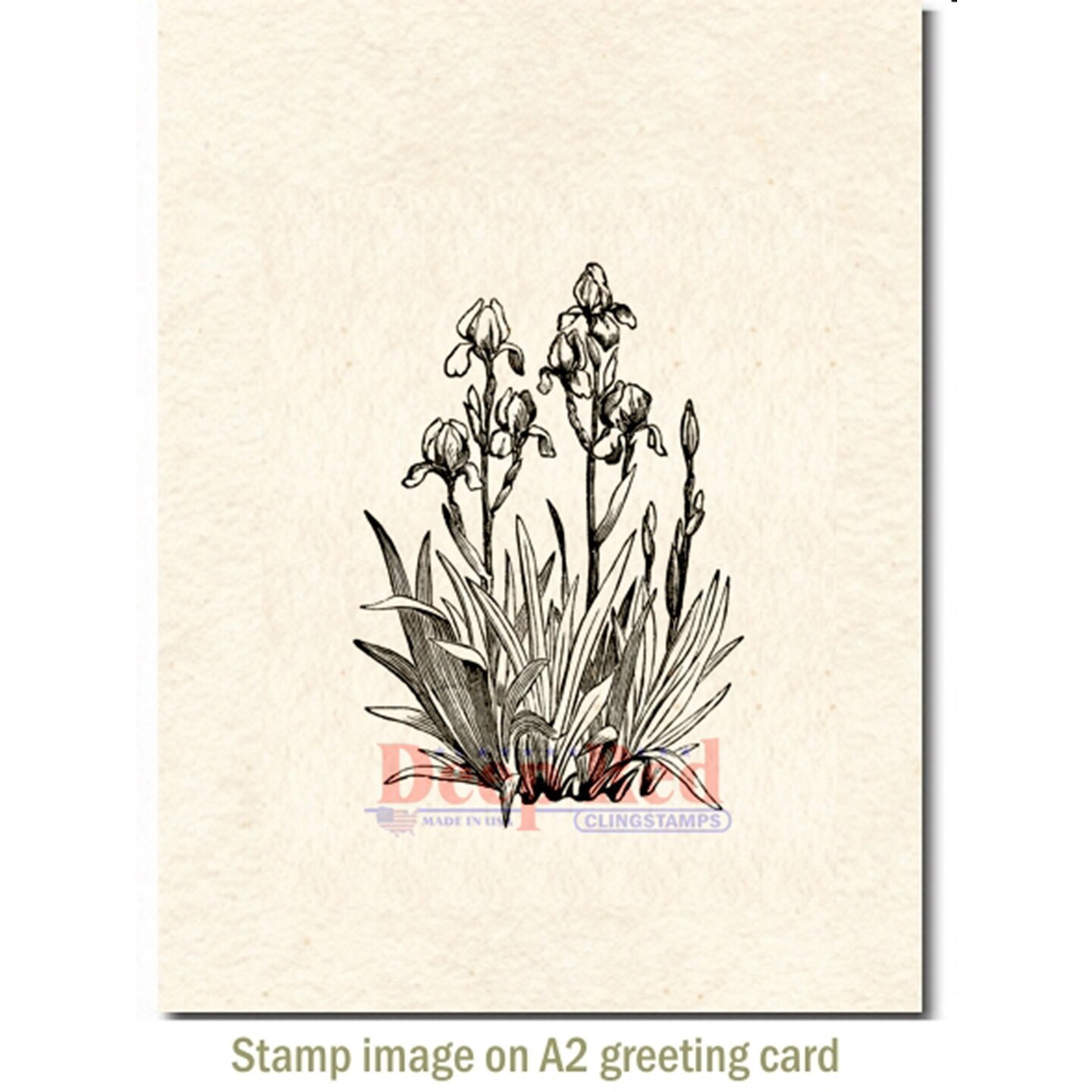 Deep Red Stamps Iris in Bloom Rubber Cling Stamp 2.2 x 3 inches