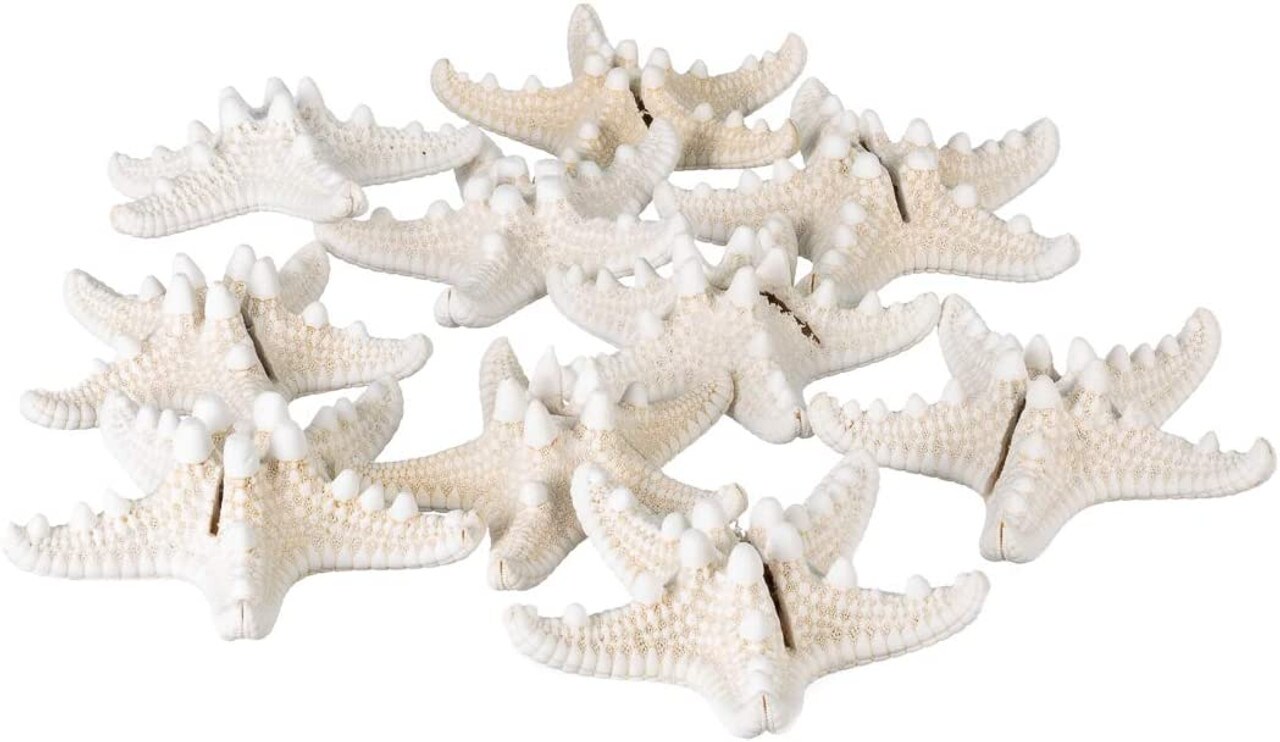 Starfish Place Card 10 Knobby Starfish Holder Set for Beach Wedding Place Cards Shells for Event Table Decor