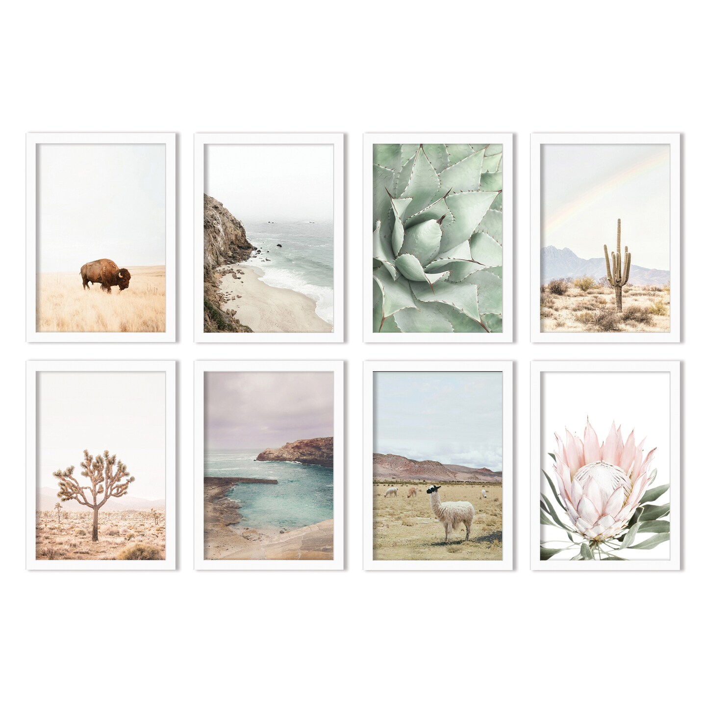 Neutral Nature Photography by Sisi and Seb - 8 Piece Framed Art Set