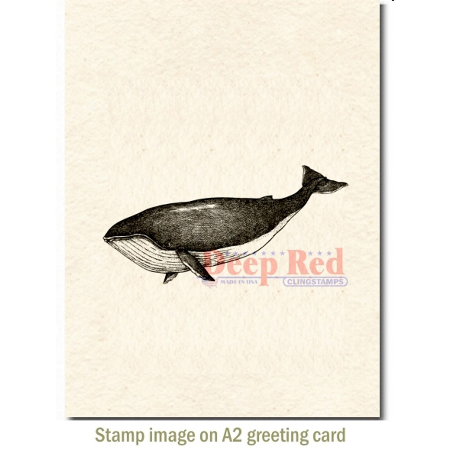 Deep Red Stamps Whale Rubber Cling Stamp 1.5 x 3.2 inches