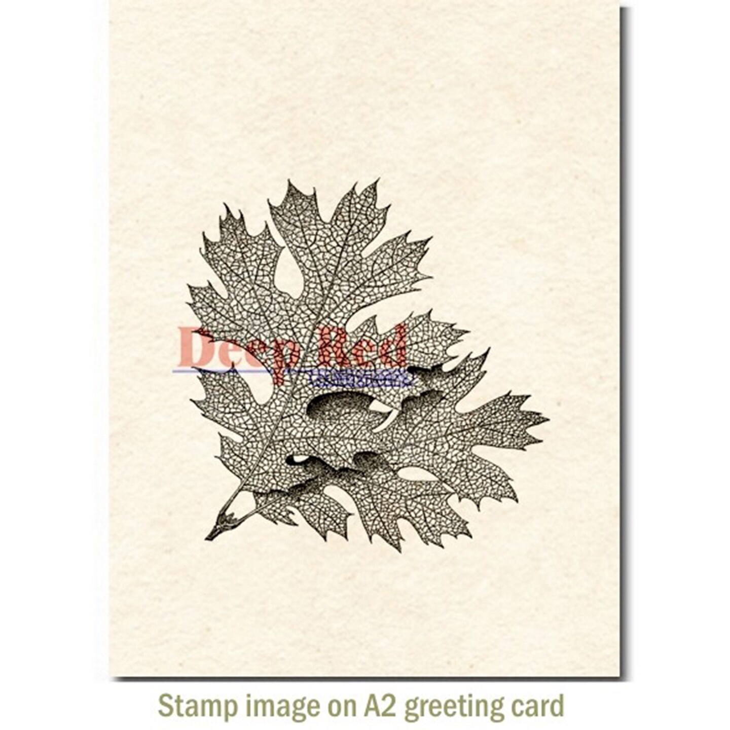 Deep Red Stamps Elm Leaves Rubber Cling Stamp 3 x 3.1 inches