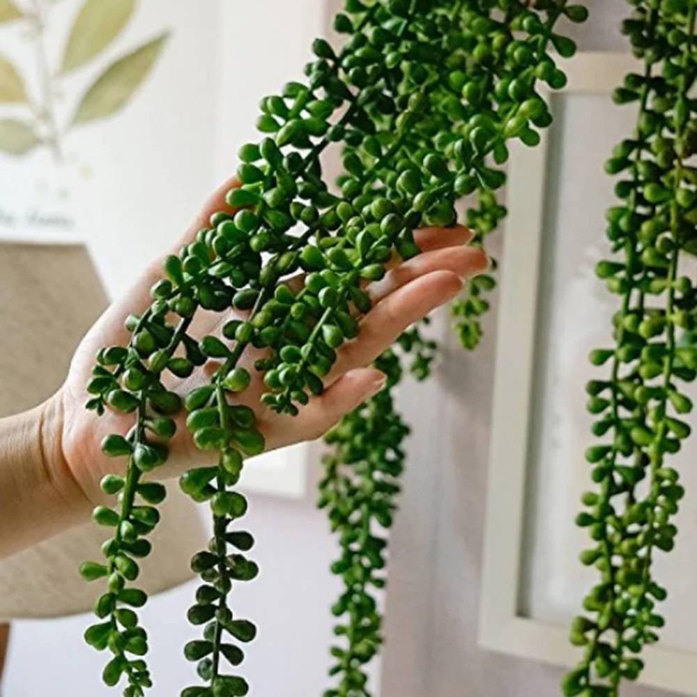 2pcs 14 inch Artificial Plant Succulent Plants Hanging String Pearls