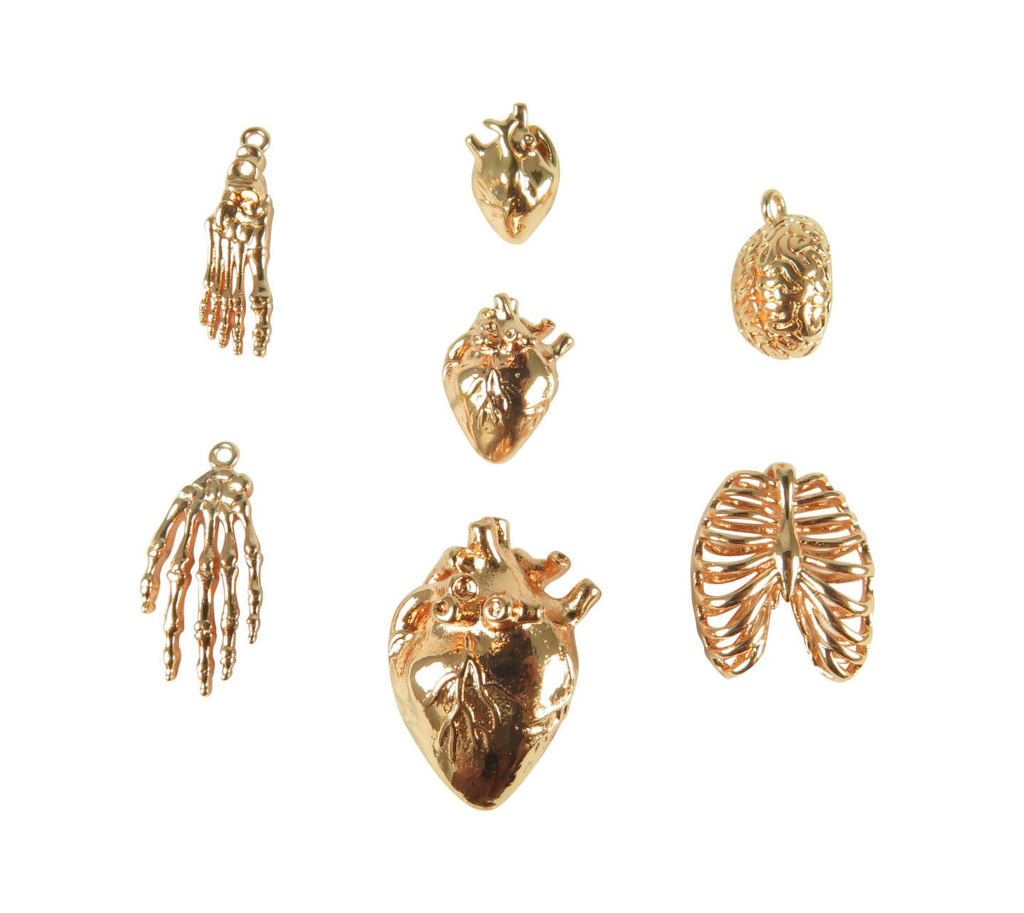 Complete Anatomical Set (K648) (7x)