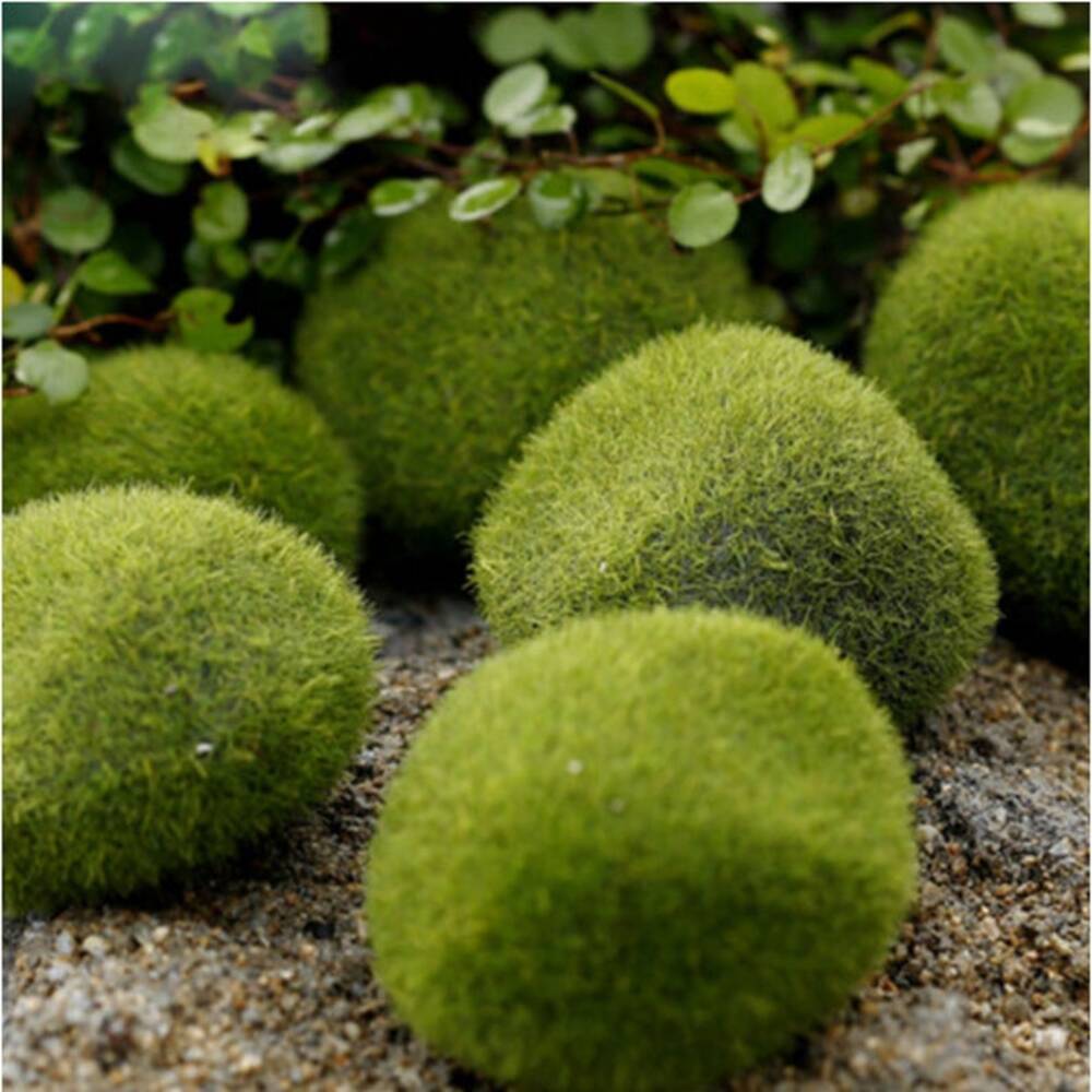 BigOtters 24 PCS Artificial Moss Rocks, 6 Size Faux Green Moss Covered  Stones Green Moss Balls Fake Moss Decor for Fairy