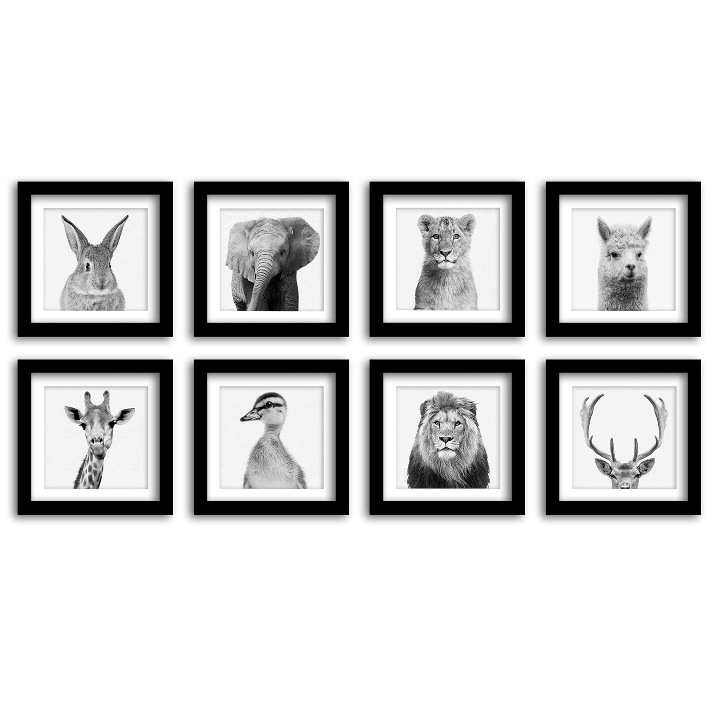 Black and White Jungle Nursery 8 Piece Framed Gallery Wall Set Michaels