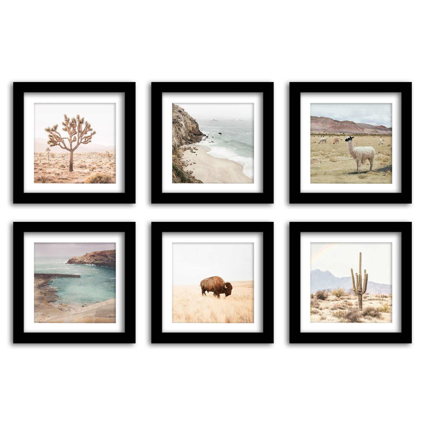 Neutral Nature Photography 6 Piece Framed Gallery Wall Set Wall Art Michaels
