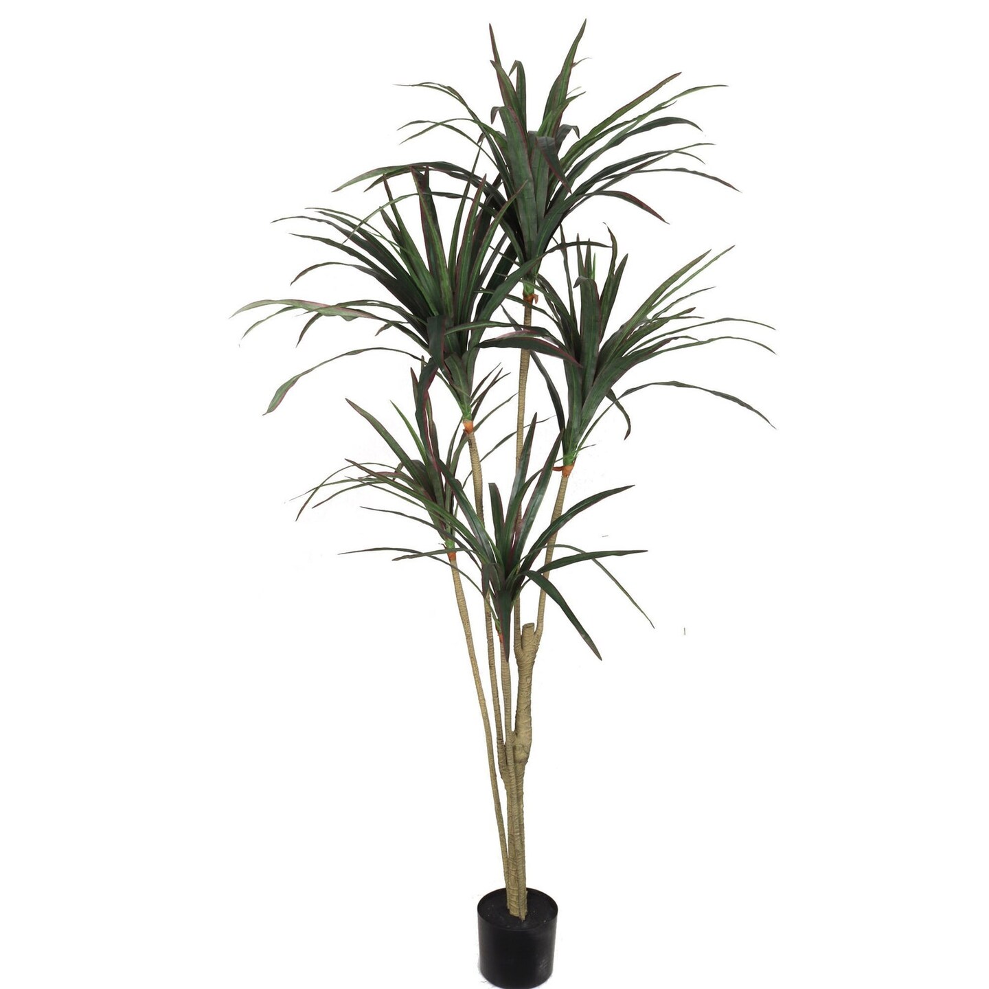 Stunning 6ft Artificial Dracaena Marginata - Lifelike & Low-Maintenance Greenery - Perfect for Indoor Decor - Enhance Home & Office Spaces