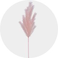 Stems