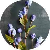 Stems