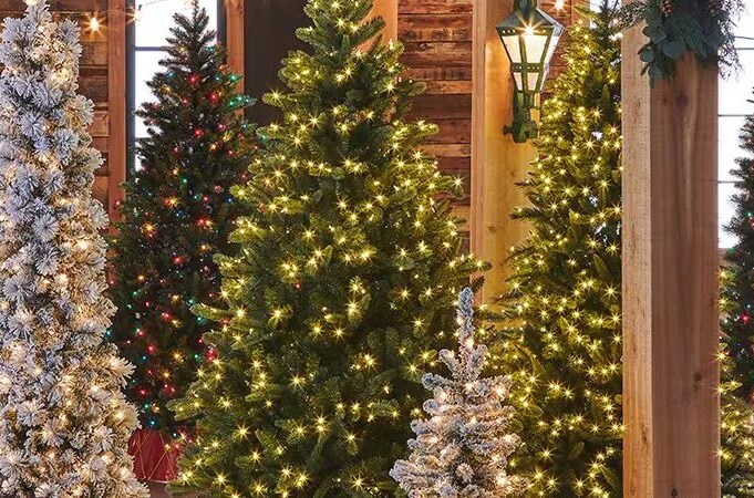 Christmas Trees | Artificial Trees in Every Style, Shape & Size ...