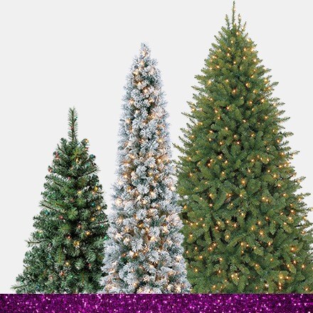 three christmas trees with clear lights