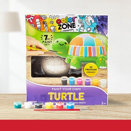 ceramic turtle paint kit