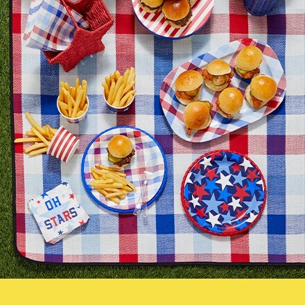 patriotic picnic scene