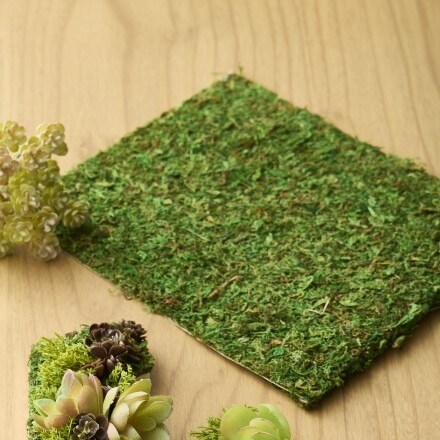 Green Moss mat