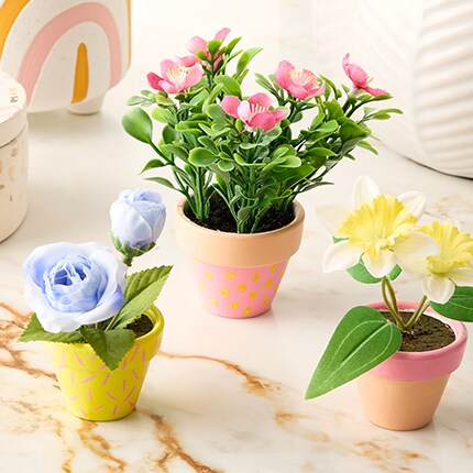 Potted Plants