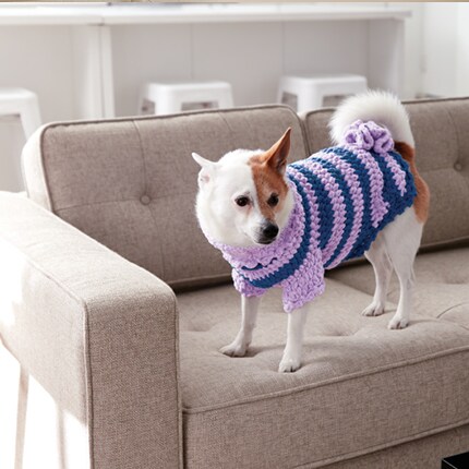 dog in purple sweater on tufted tan sofa