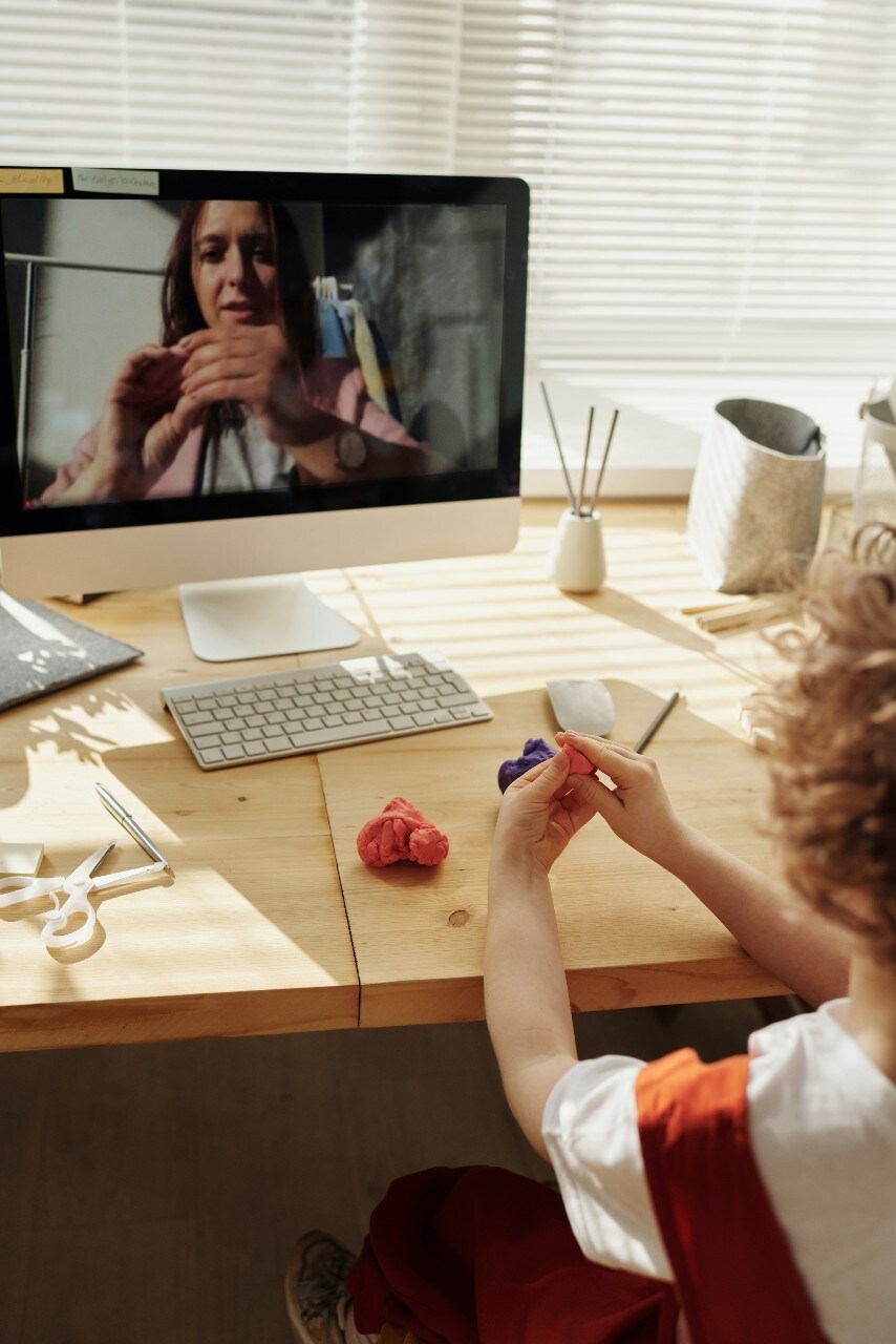 A child attends an online art class