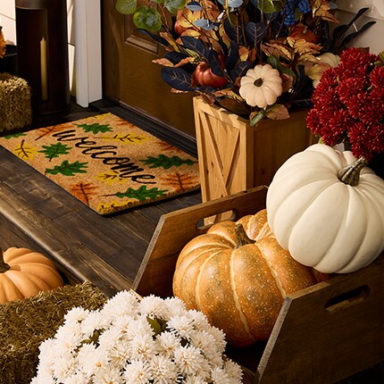 Outdoor Fall