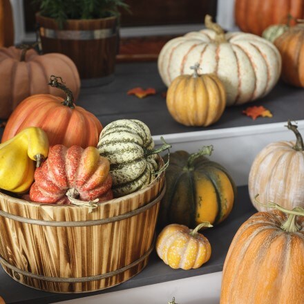 Thanksgiving Pumpkins