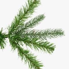 MIK_Christmas Tree-Tile-PE & PVC.png