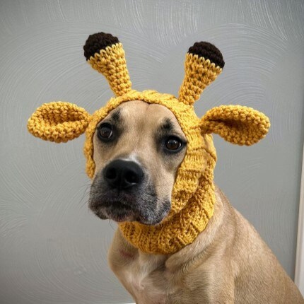 MakerPlace Giraffe Dog Snood Crochet Dog Costume