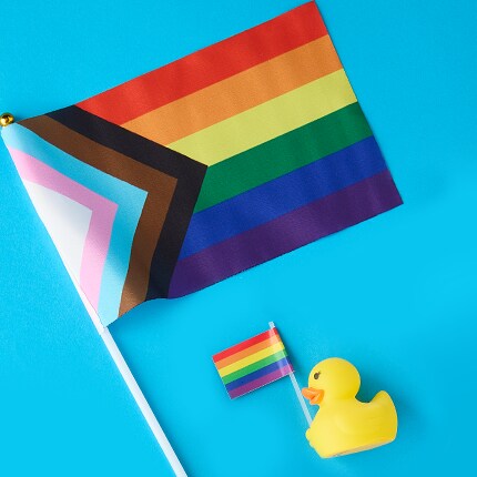 Pride flag with black, brown, light blue, pink, and white chevrons alongside traditional rainbow stripes, placed on a blue background. 