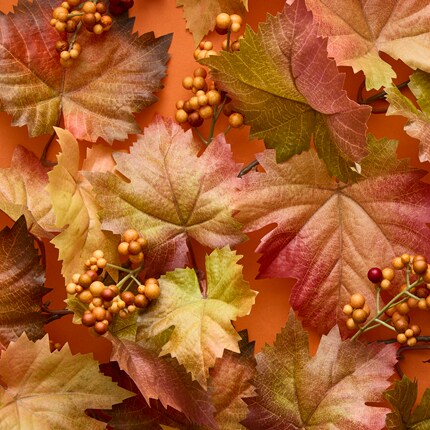 Fall Leaves