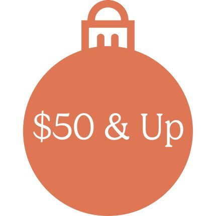 MakerPlace by Michaels A simple terracotta shopping bag icon on a white background reads “$50 & Up,” suggesting products priced at $50 or more in a clean, friendly style.