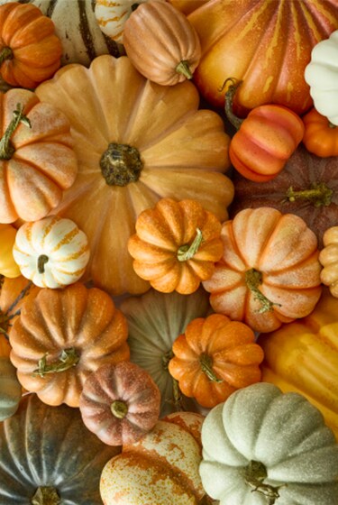 Fall decorative pumpkins