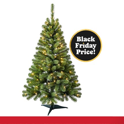 A Christmas tree with lights