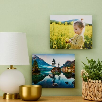 Two wall tiles hung up on a light green wall