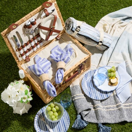 picnic basket and blue party supplies 