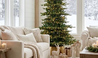 Christmas Trees