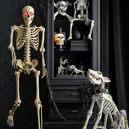 Skeletons