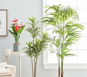 Home Décor and Accents Michaels