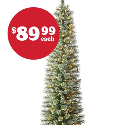 A Christmas Tree with lights