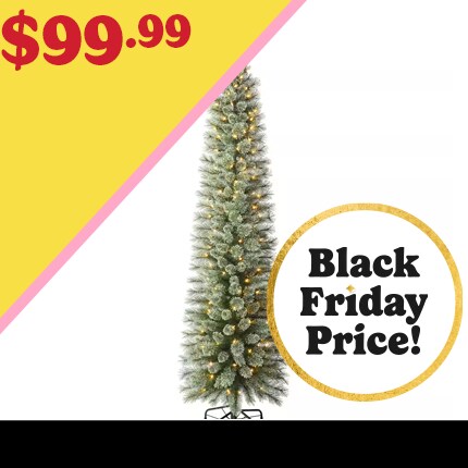 A Christmas Tree with lights